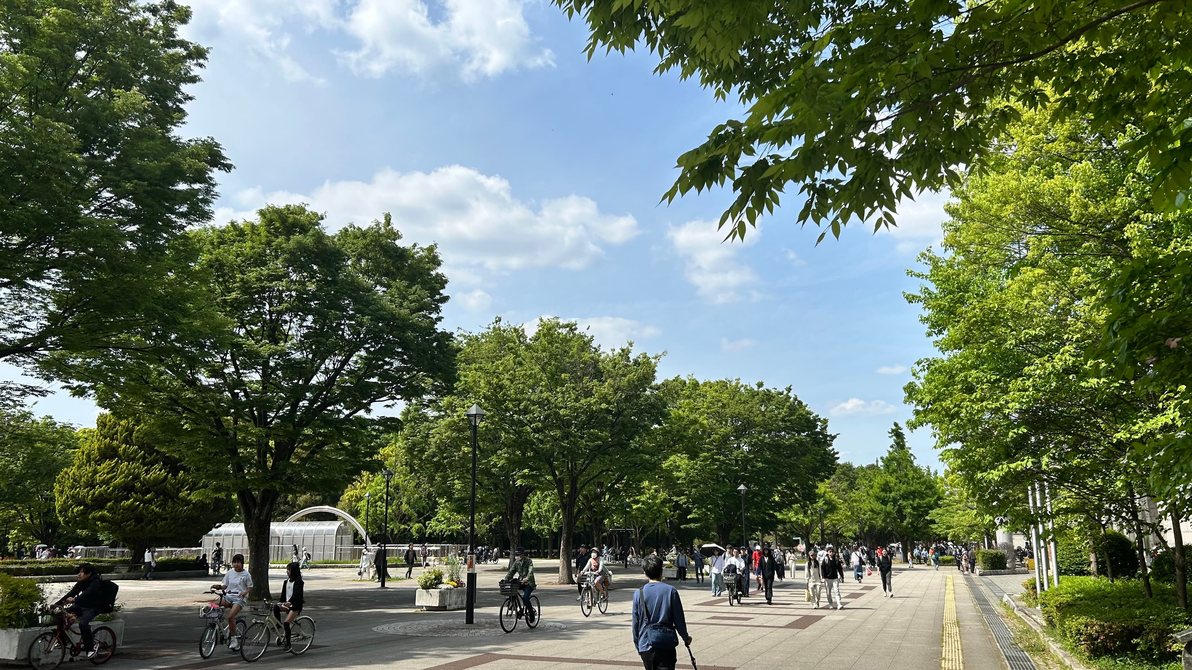 本日の光が丘公園　半袖の季節になって嬉しいですね！